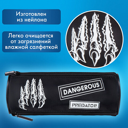 Пенал BRAUBERG, 3 отделения, нейлон, 21х7х7 см, "Острые когти", 272307