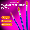 Кисти художественные набор 3 шт., синтетика (овальные № 6, 10,14), BRAUBERG ART DEBUT, 201040