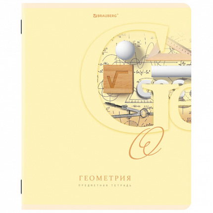 Тетради предметные, КОМПЛЕКТ 12 ПРЕДМЕТОВ, 48 листов, обложка картон, BRAUBERG, "ПАСТЕЛЬНАЯ", 404026