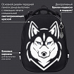 Ранец BRAUBERG SHINY, 2 отделения, с брелоком, "Хаски", СВЕТЯЩИЙСЯ РИСУНОК, 38х28х14 см, 271383
