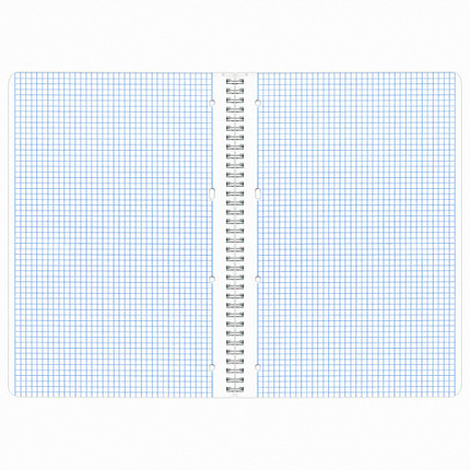 Тетрадь А4, 96 л., BRAUBERG, гребень, клетка, обложка картон, КРАСИВЫЕ ЦВЕТЫ, 403072
