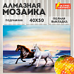 Картина стразами (алмазная мозаика) 40х50 см, ОСТРОВ СОКРОВИЩ "Бегущие по волнам", на подрамнике, 662428