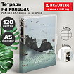 Тетрадь на кольцах А5, 175х215 мм, 120 л., гибкий пластик, клапан, BRAUBERG STYLISH, "Море и скалы", 405226