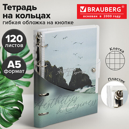 Тетрадь на кольцах А5, 175х215 мм, 120 л., гибкий пластик, клапан, BRAUBERG STYLISH, "Море и скалы", 405226