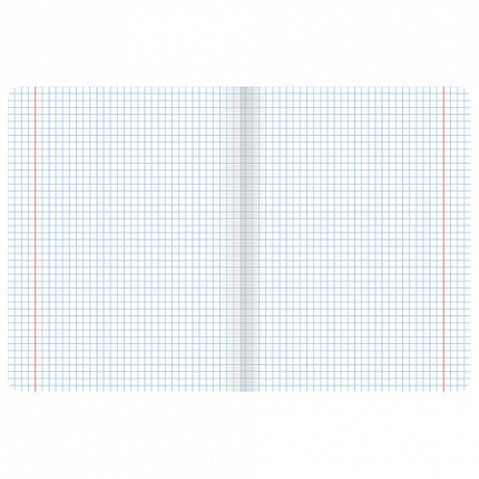 Тетрадь 12 л. BRAUBERG "КЛАССИКА NEW", клетка, обложка картон, АССОРТИ (5 видов), 105682