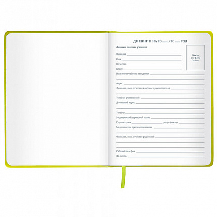 Дневник 1-11 класс 48 л., кожзам (твердая с поролоном), тиснение аппликация, BRAUBERG, "Super Avo", 106205