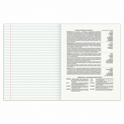 Тетрадь предметная SPORT CLUB 48л, обложка картон, ЛИТЕРАТУРА, линия, подсказ, BRAUBERG, 404802