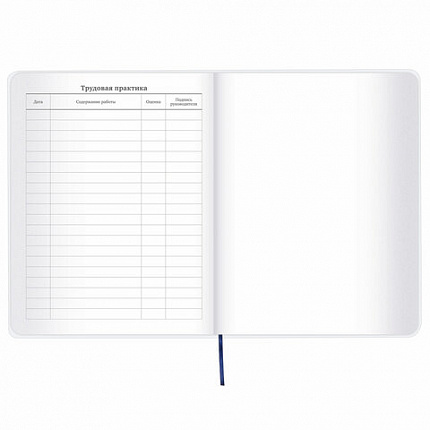 Дневник 1-11 класс 48 л., кожзам (гибкая), термотиснение, фольга, BRAUBERG, "МЕДВЕДЬ", 105969