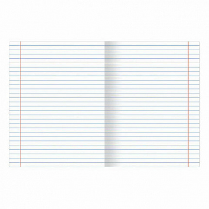 Тетради предметные, КОМПЛЕКТ 12 ПРЕДМЕТОВ, "DELIGHT", 48 л., обложка картон, BRAUBERG, 404606