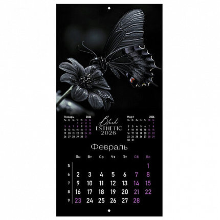 Календарь настенный перекидной 2026г, BRAUBERG, 12 листов, 28,5х28,5см, Black esthetic, 116927