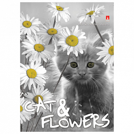 Блокнот А6, 40 л., гребень, ламинированный картон, клетка, Альт, "Котята", (5 видов), 3-40-028