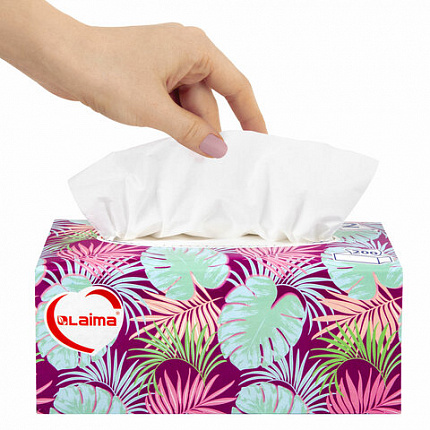 Салфетки косметические 200 шт. в картонном боксе 2-слойные, LAIMA "Everyday", 20х20 см, 113589