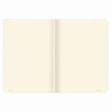 Тетрадь 40 л. в точку обложка SoftTouch, бежевая бумага 70 г/м2, сшивка, А5 (147х210 мм), БЛАЖЕНСТВО, BRAUBERG, 403800