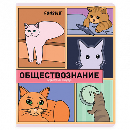 Тетради предметные, КОМПЛЕКТ 12 ПРЕДМЕТОВ, 48 л., TWIN-лак, FUNSTER (ФАНСТЕР), МЕМНЫЕ КОТЫ, 405604