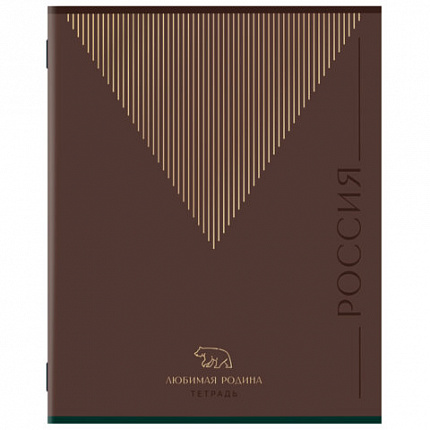 Тетрадь А5, 48 л., STAFF, скоба, клетка, офсет №2 ЭКОНОМ, обложка картон, ТЕМНАЯ, 405625