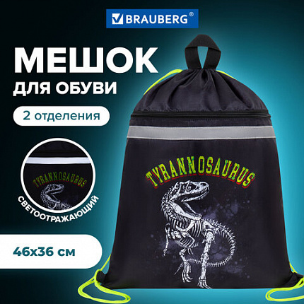 Мешок для обуви BRAUBERG, с петлей, светоотражающая полоса, 2 отделения, 46х36 см, "Тираннозавр", 272399