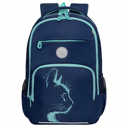 Рюкзак GRIZZLY школьный, анатомическая спинка, 2 отделения, для девочек, "AZURE", 40х25х13 см, RG-564-4/1