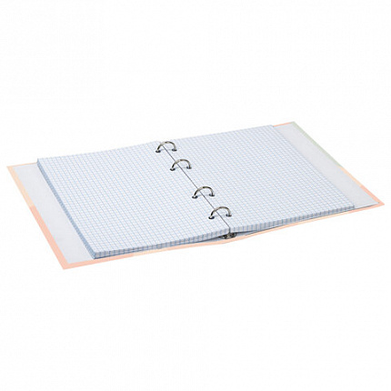 Тетрадь на кольцах А5 (165х215 мм), 120 листов, твердый картон, клетка, BRAUBERG, Девушка, 404076