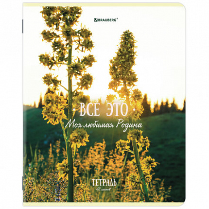 Тетрадь А5, 48 л., BRAUBERG, скоба, клетка, глянцевый лак, Русская природа (микс в спайке), 405651