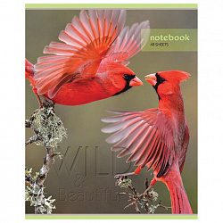 Тетрадь А5, 48 л., HATBER-ECO скоба, офсет №2 ЭКОНОМ, клетка, обложка мелованная бумага, "Дикий мир", 075790, 48Т5D1