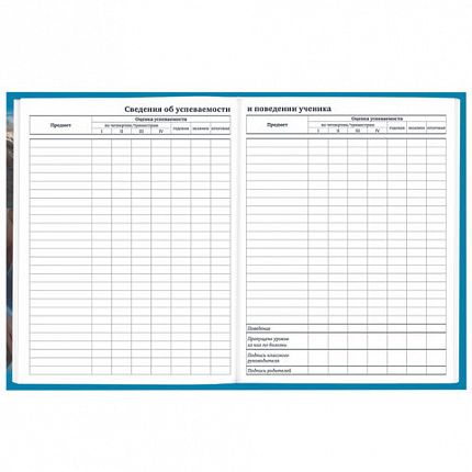 Дневник 1-11 класс 40 л., твердый, BRAUBERG, глянцевая ламинация, "Девушка с драконом", 107167
