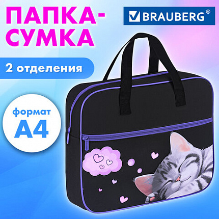 Папка на молнии с ручками BRAUBERG А4, 1 отделение, карман на молнии, 80 мм, "Спящий котенок", 273309