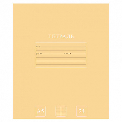 Тетрадь 24 л., HATBER-ECO клетка, офсет №2 ЭКОНОМ, обложка картон, PUREcolour (микс в спайке), 092112, 24Т5C1