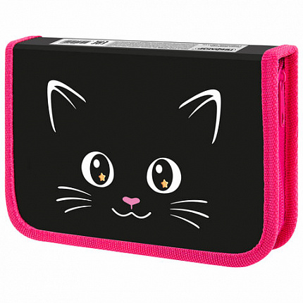 Пенал ПИФАГОР, 1 отделение, ламинированный картон, 19х11 см, "Dark kitten", 273467