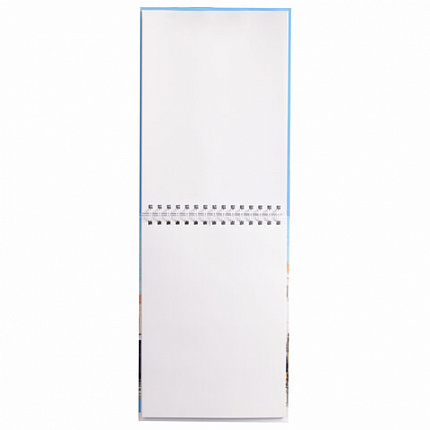 Скетчбук, белая бумага 100 г/м2, 210х290 мм, 80 л., гребень, твердая обложка, BRAUBERG ART DEBUT, 112987