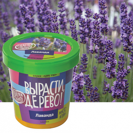 Набор для выращивания растений ВЫРАСТИ ДЕРЕВО! "Лаванда" (банка, грунт, семена), zk-030