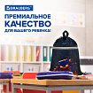 Мешок для обуви BRAUBERG, с петлей, светоотражающая полоса, 2 отделения, 46х36 см, "Огненный паук", 273450