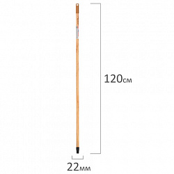 Черенок рукоятка 120 см, еврорезьба, пластиковая накладка, дерево + лак (ЭВКАЛИПТ), d=2,2 см, LAIMA, 700891