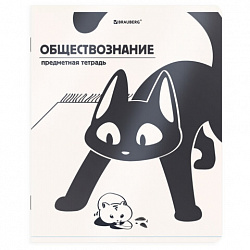 Тетради предметные, КОМПЛЕКТ 12 ПРЕДМЕТОВ 48 л., пластиковая обложка, BRAUBERG "КОТ-НЕПОСЕДА", 405542