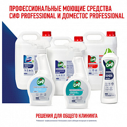 Средство моющее универсальное с дезинфицирующим эффектом 5 л, СИФ "Professional"