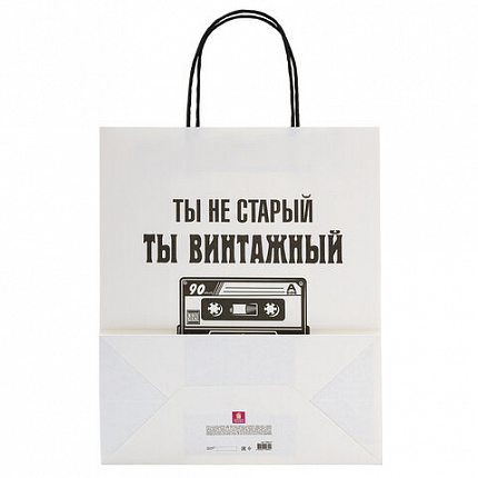 Пакет подарочный (1 штука) 26х13х32 см (L) "Funny Notes", ассорти, крафт, ЗОЛОТАЯ СКАЗКА, 700824