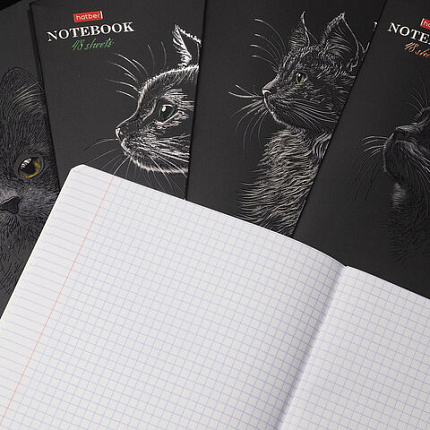 Тетрадь А5, 48 л., HATBER, скоба, клетка, матовая ламинация, 3D-лак, "Black Cat" (микс в спайке), 093159, 48Т5лолВ1