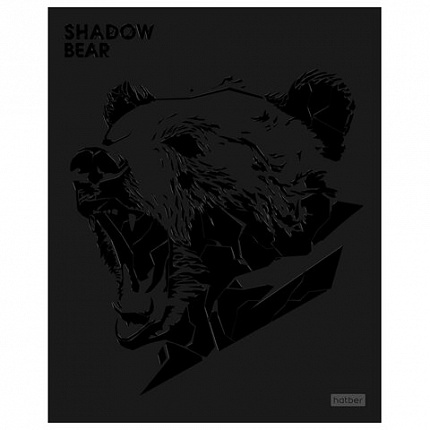 Тетрадь А5, 48 л., HATBER, скоба, клетка, матовая ламинация, 3D-лак, "Shadow" (микс в спайке), 093204, 48Т5лолВ1