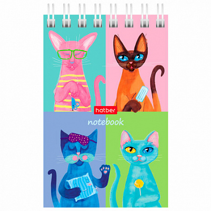 Блокнот МАЛЫЙ ФОРМАТ А7 65х100 мм, 40 л., гребень, картон, клетка, дисплей, HATBER, Ассорти, 031285, 40Б7B1гр