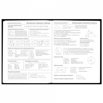 Дневник 5-11 класс 48 л., твердый, BRAUBERG, матовая ламинация, с подсказом, "Штош", 107190