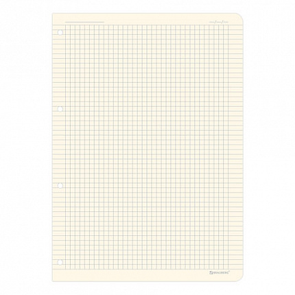 Сменный блок для тетради на кольцах БОЛЬШОЙ ФОРМАТ А4 120 л., BRAUBERG, ПОВЫШЕННОЙ ПЛОТНОСТИ, кремовый, 404517