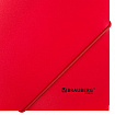 Папка на резинках А4 BRAUBERG UNIVERSAL, красная, до 300 листов, 0,5 мм, 273039