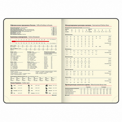 Ежедневник недатированный БОЛЬШОЙ ФОРМАТ 210х297мм А4, BRAUBERG Iguana, 160л, синий, 114451