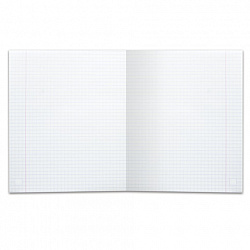 Тетрадь 18 л., HATBER HD, клетка, обложка тонированный офсет, внутренний блок 80 г/м2, "ЛОМОНОСОВ", 025265, 18Т5A1_10264