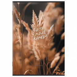 Тетрадь А4 80 л. STAFF College скоба, клетка, офсет №2 ЭКОНОМ, обложка картон, ПРИРОДА, 405617