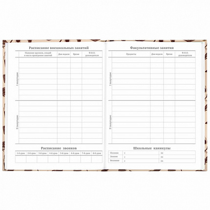 Дневник 5-11 класс 48 л., твердый, BRAUBERG, выборочный лак, с подсказом, "Магия", 106885