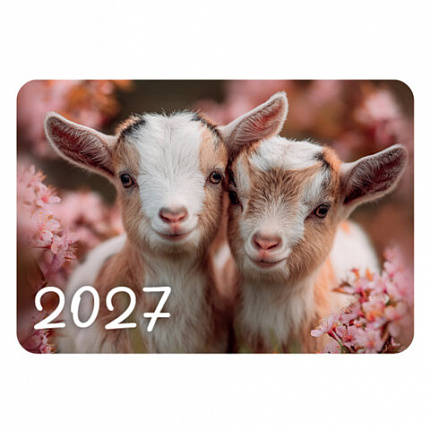 Календарь карманный на 2027 г, BRAUBERG, 64х93 мм, АССОРТИ, 20 дизайнов (60 штук), 118489