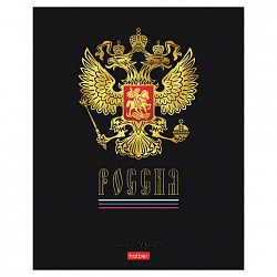 Тетрадь А5 48 л., HATBER, скоба, клетка, матовая ламинация, 3D-фольга, 3D-лак, Россия (микс), 093210, 48Т5лофлВ1