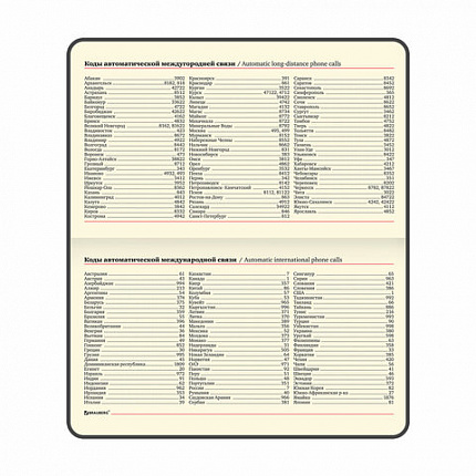 Еженедельник недатированный МАЛЫЙ ФОРМАТ 95х155 мм А6, BRAUBERG "Iguana", под кожу, 64 л., черный, 114480