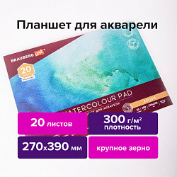 Папка для акварели/планшет, 300 г/м2, 270х390 мм, склейка, крупное зерно, 20 л., BRAUBERG ART PREMIERE, 113250