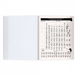 Тетрадь предметная КОТ-НЕПОСЕДА 48 л., пластиковая обложка, ХИМИЯ, клетка, подсказ, BRAUBERG, 405538